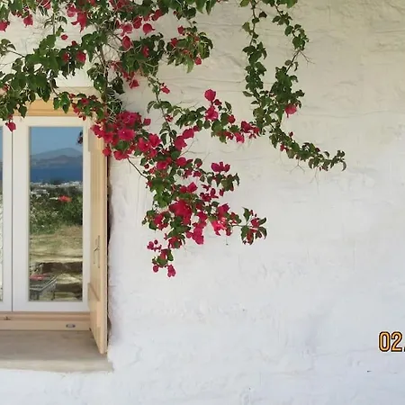 Apartment Stone With Amazing View Angairia